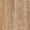 Khaki Beige Stripe