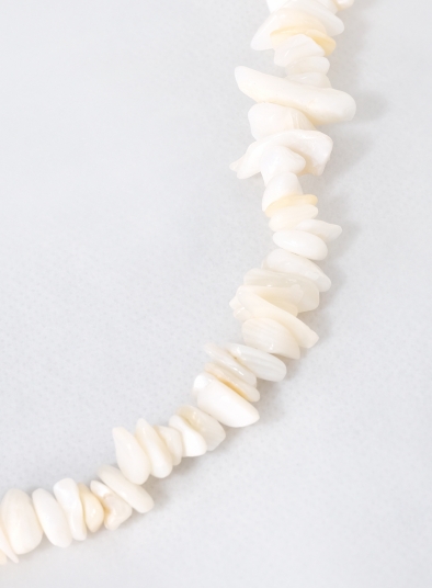 Beach Shell Collar Necklace