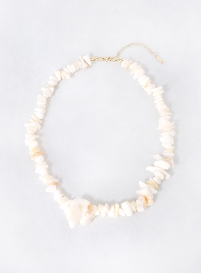 Beach Shell Collar Necklace
