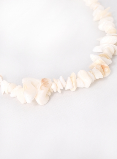 Beach Shell Collar Necklace