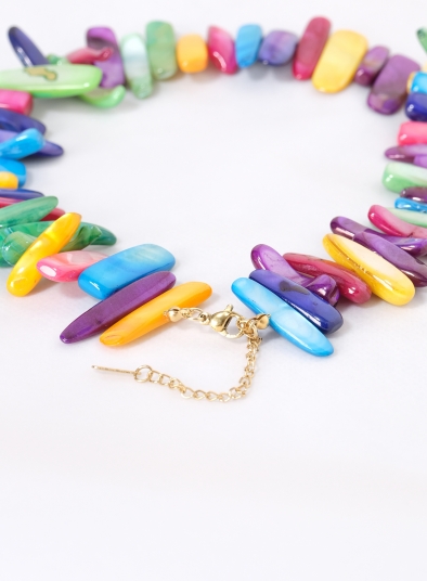 Multi Coloured Shell Collar Nacklace